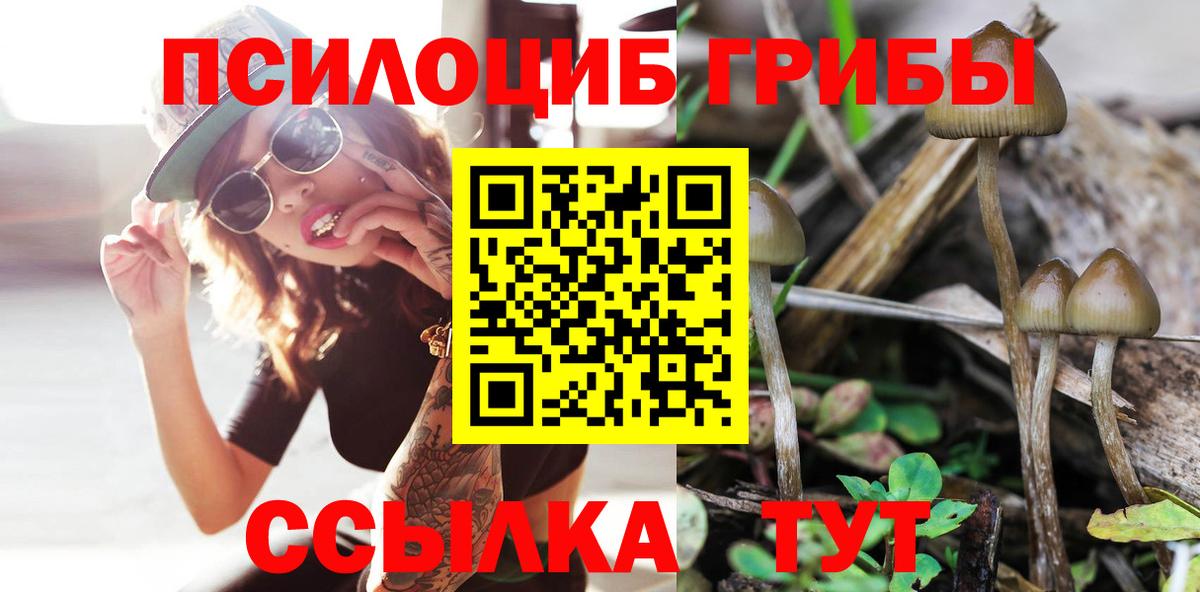 Воркута  Галлюциногенные грибы прущие грибы  Галлюциногенные грибы мицелий  Вход с VPN 