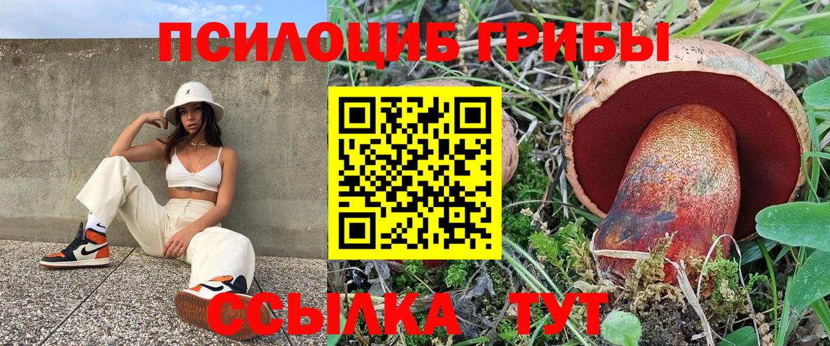 Галлюциногенные грибы Psilocybe Воркута